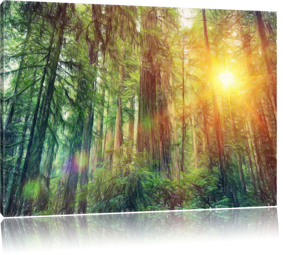 Pixxprint Wald bei Sonnenlicht als Leinwandbild | Grösse: 100x70 cm | Wandbild | Kunstdruck | fertig