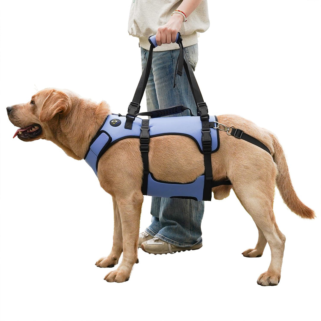 COODEO Hundegeschirr, Ganzkörperstütze und Erholungsweste, verstellbar und atmungsaktiv, für ältere,