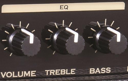 Kinsman BB10 Blaster 10W Amp Single, Single
