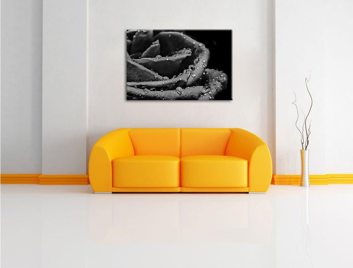 Pixxprint Tropfen auf roter Rose als Leinwandbild | Grösse: 100x70 | Wandbild| Kunstdruck | fertig b