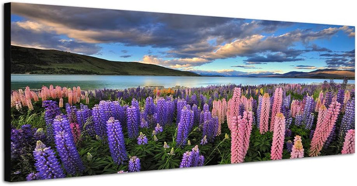 Paul Sinus Art Panoramabild auf Leinwand und Keilrahmen 120x40cm Neuseeland Blumenwiese Berge See Na