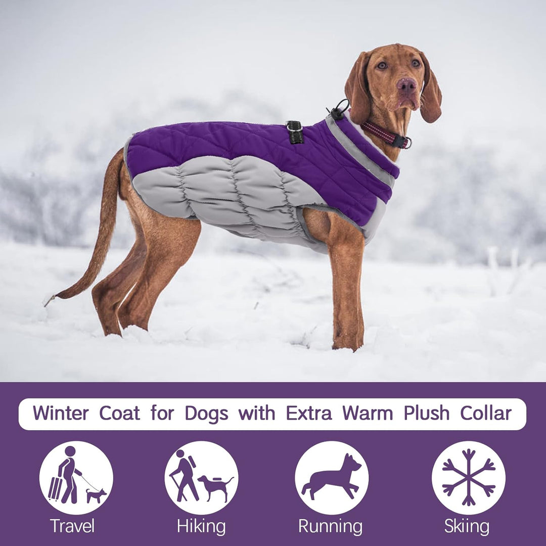 Kuoser Hundejacke Wintermantel für Mittelgrosse Hunde - Wasserdichte Winterweste Mit Geschirr - Warm