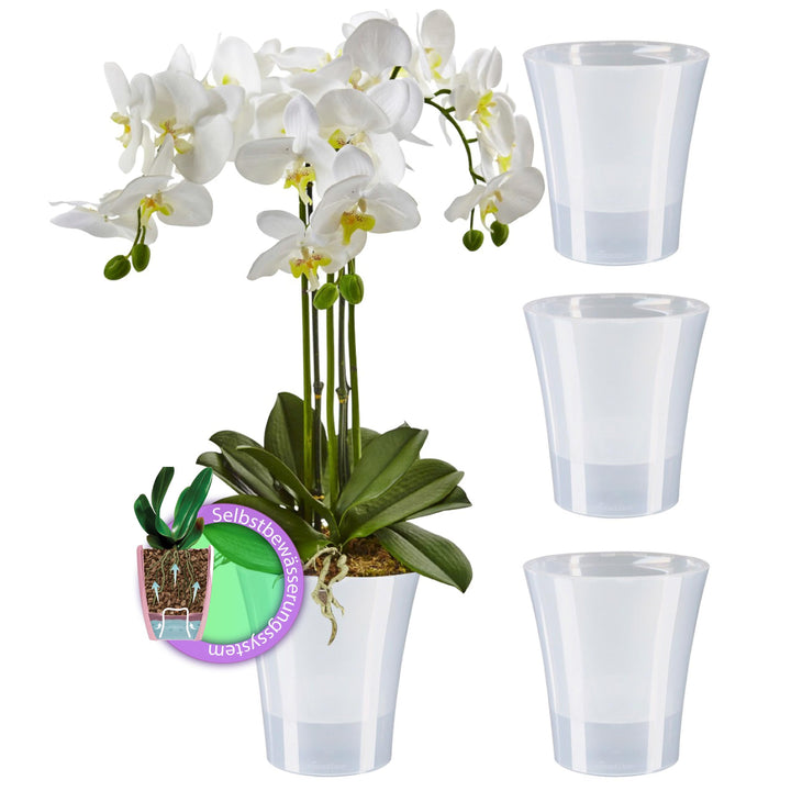 Santino 4er-Set Orchideentopf transparent mit selbstbewässerndem Dochtsystem - D 15 cm - Transparent