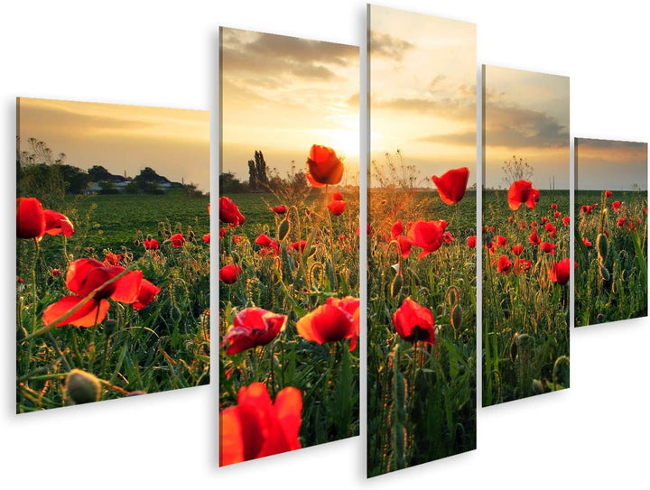 islandburner Bild auf Leinwand Mohnblumen Feldblume Auf Sonnenuntergang Wandbild Poster Kunstdruck B