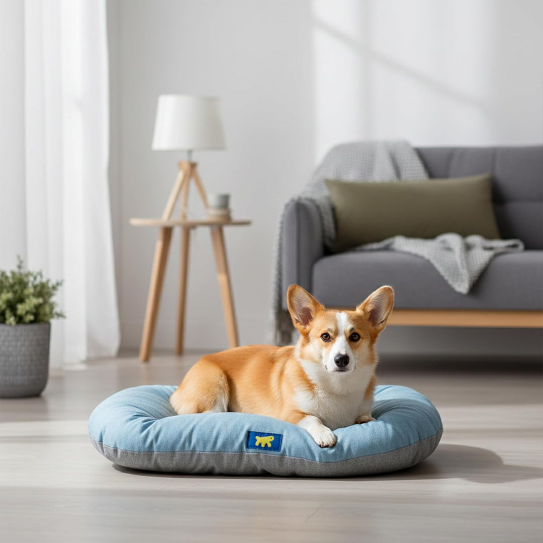 Ferplast Hundebett Relax, Hundekissen, Katzenkissen, Hundematte für Hundehütten und Autos – waschbar