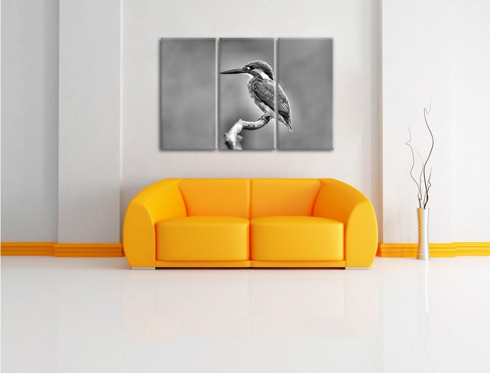 Pixxprint Kleiner Eisvogel / 3-Teilig/Gesamtmass 120cm Leinwandbild bespannt auf Holzrahmen/Wandbild