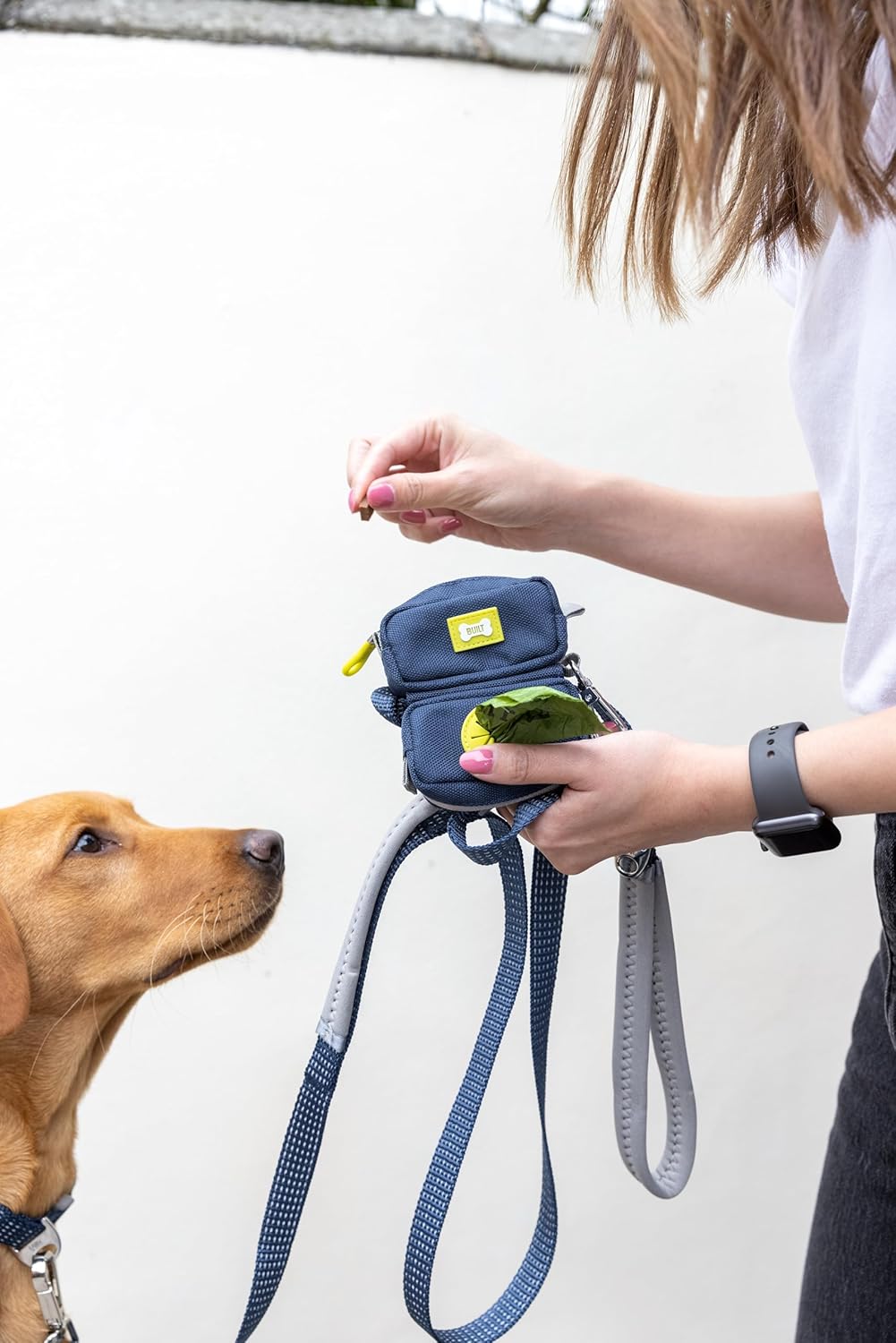 BUILT PET NightSafe Kotbeutelhalter und Leckerli-Spender, Clips an der Leine für Spaziergänge mit de