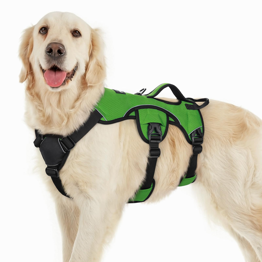 rabbitgoo Ausbruchsichere Hundegeschirr Grosse Hunde mit Griff, Anti Zug Sicherheitsgeschirr Hund At