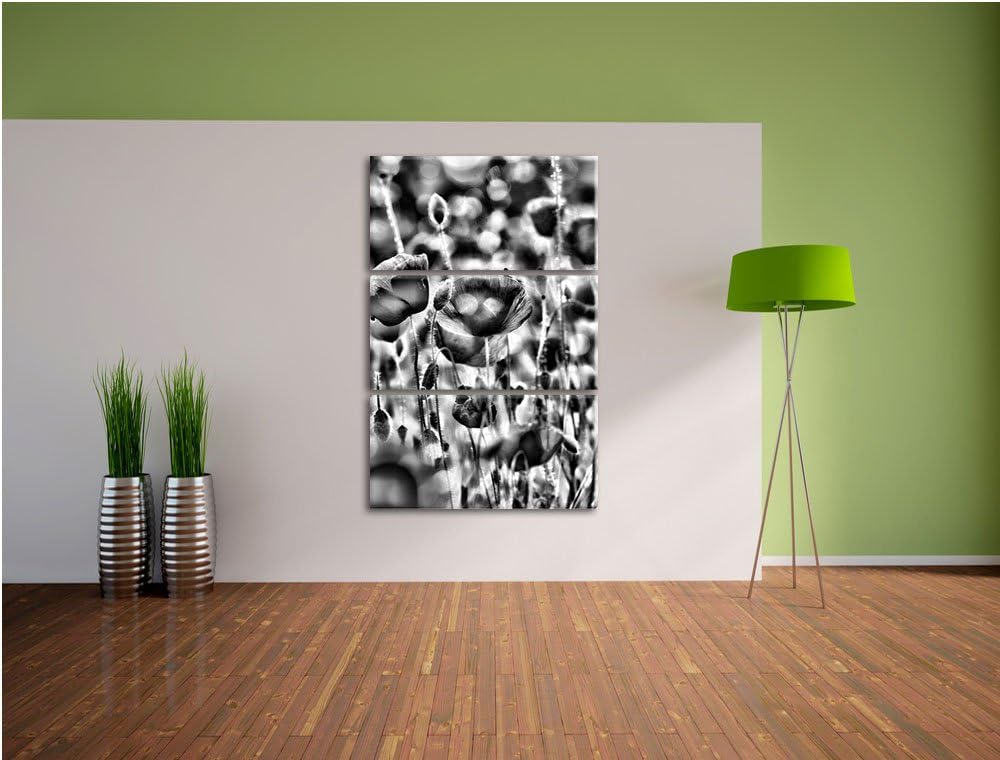 Pixxprint Mohnwiese als Leinwandbild/Grösse: 3 Teilig (120x80) cm/Wandbild/Kunstdruck/fertig bespann
