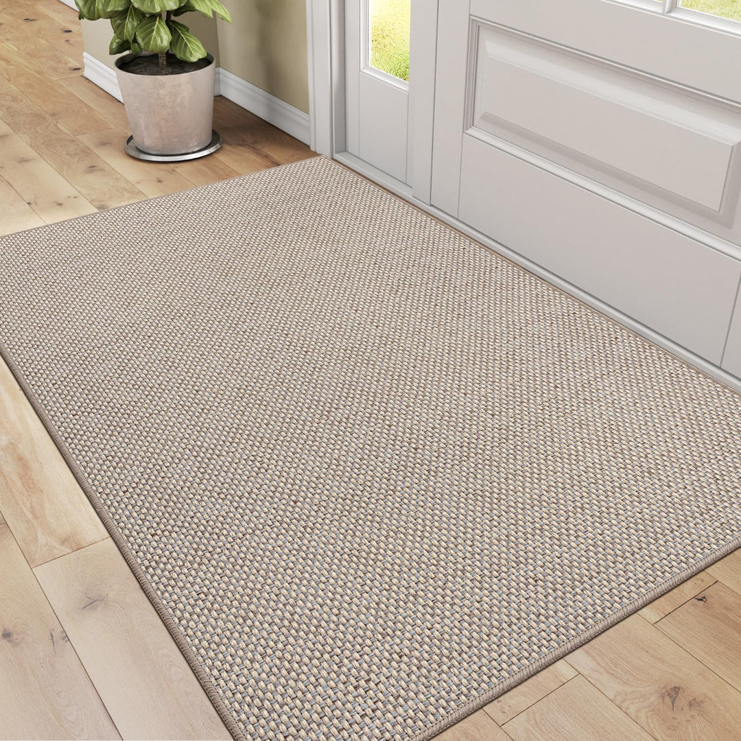 DEXI Schmutzfangmatte Innen 80 x 120 cm, rutschfest Fussmatte waschbar, absorbierend Fussmatte, Dünn