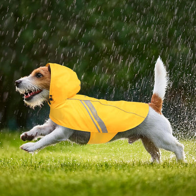 VIVAGLORY Hunderegenmantel für grosse Hunde, leicht an- und ausziehbare Regenbekleidung, reflektiere