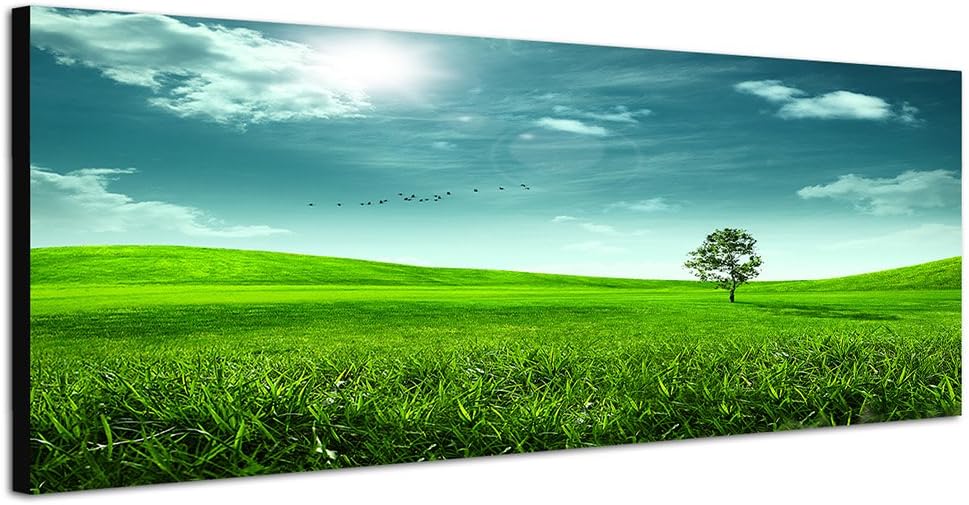 Paul Sinus Art Panoramabild auf Leinwand und Keilrahmen 150x50cm Wiese Hügel Baum Sonne Vögel abstra