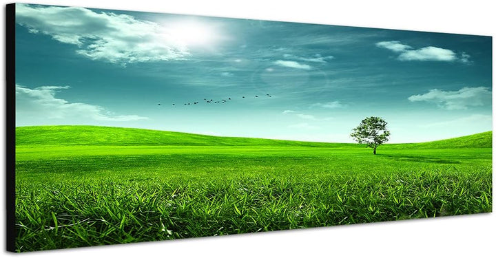 Paul Sinus Art Panoramabild auf Leinwand und Keilrahmen 150x50cm Wiese Hügel Baum Sonne Vögel abstra