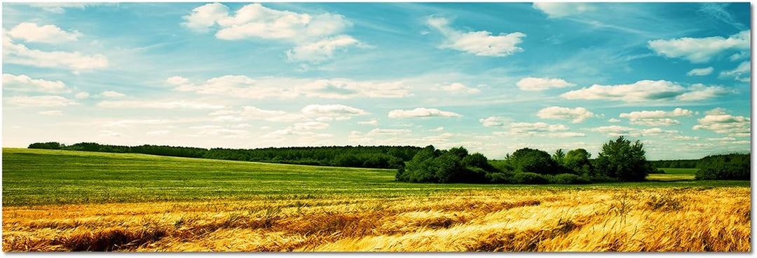 Augenblicke Wandbilder Leinwandbild als Panorama in 150x50cm Landschaft Kornfeld Wolken Sommer