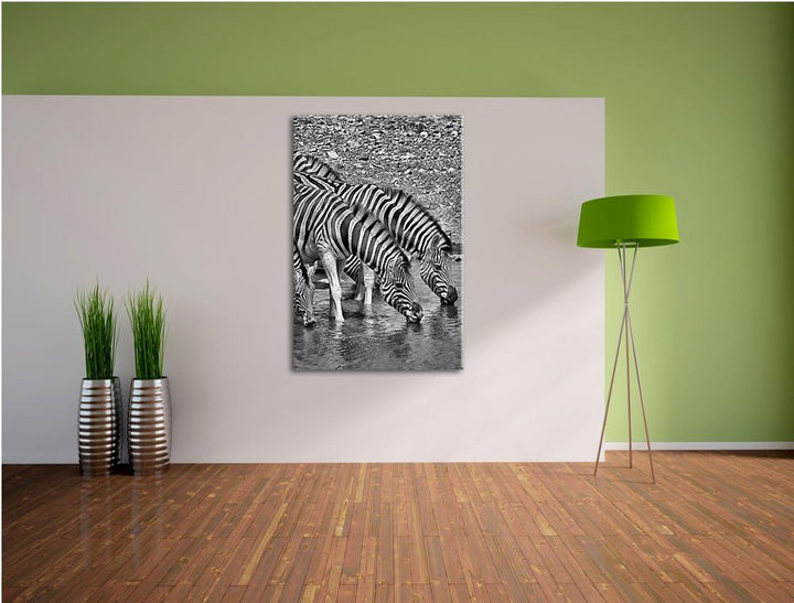 Pixxprint Zebraherde an einem Wasserloch / 100x70cm Leinwandbild bespannt auf Holzrahmen/Wandbild Ku