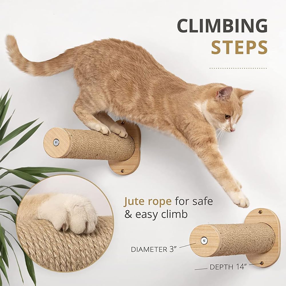 Kletterwand Katzen,53cmx47cm Katzenhängematte & 2 Kratzbaum, Kängematten Katzen Wand Bis Zu 10 Kg,Ka