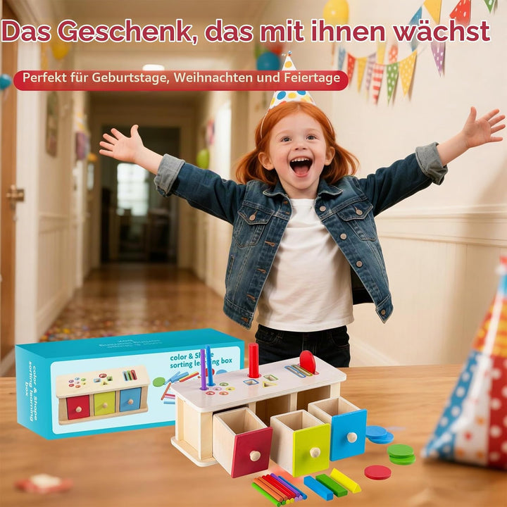 Montessori Spielzeug ab 1 Jahr Mädchen Jungen, Holzspielzeug ab 1 Jahr, Motorik Spielzeug &amp; Steckspi
