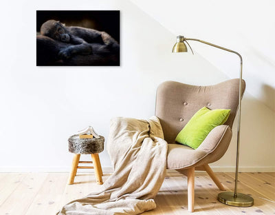 Premium Textil-Leinwand 75 x 50 cm Quer-Format Gorilla | Wandbild, HD-Bild auf Keilrahmen, Fertigbil