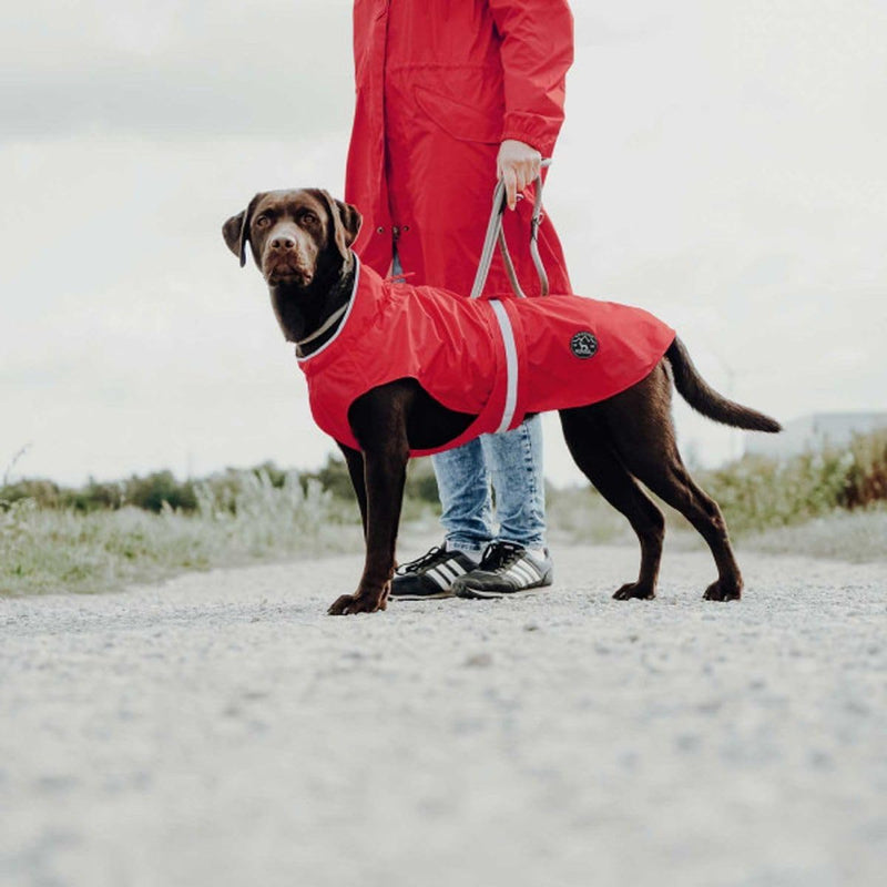 HUNTER UPPSALA RAIN Hunde-Regenmantel, mit reflektierenden Streifen, 50, rot rot 50, rot 50