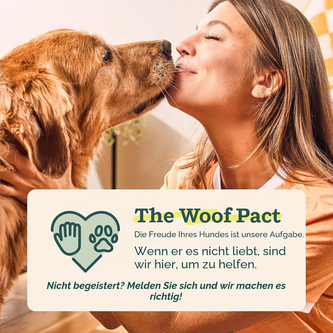 WOOF Pupsicle and Treat Tray - Langlebiges interaktives Hundespielzeug gegen Langeweile und Silikonf