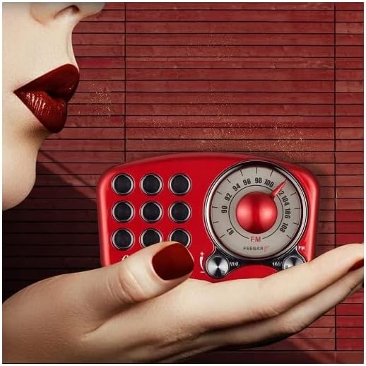 Radio Feegar Retro Bluetooth Lautsprecher,Vintage FM Radio mit altmodischem klassischem Stil,Starke