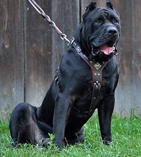 Bestia |EROS| Leder Brustgeschirr für grosse Hunde. Bis 145 cm Brustumfang. 100% Leder. Handgefertig