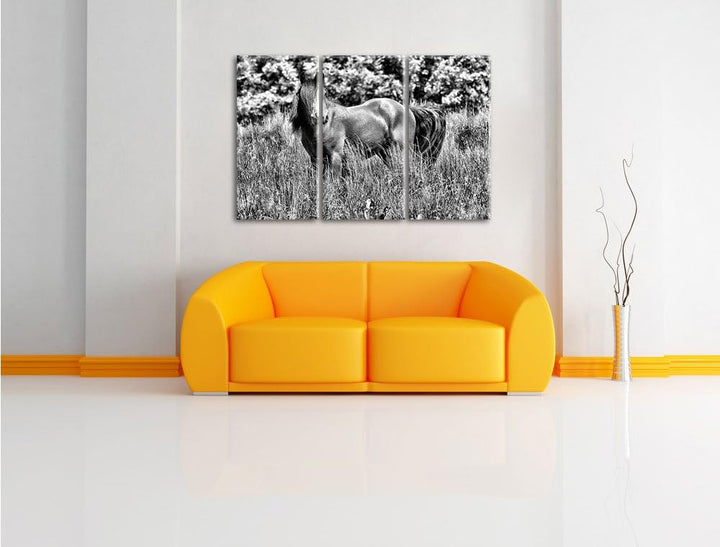 Pixxprint Wildes Pferd als Leinwandbild/Grösse: 3 Teilig (120x80) cm/Wandbild/Kunstdruck/fertig besp