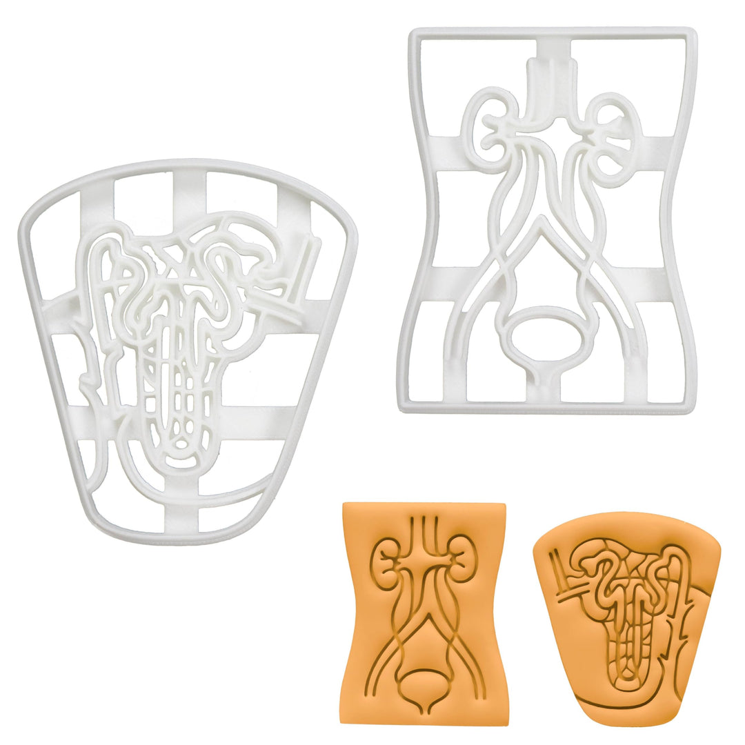2er Set Ausstechformen (Formen: Nephron & Harnwege), 2 Teile, Bakerlogy