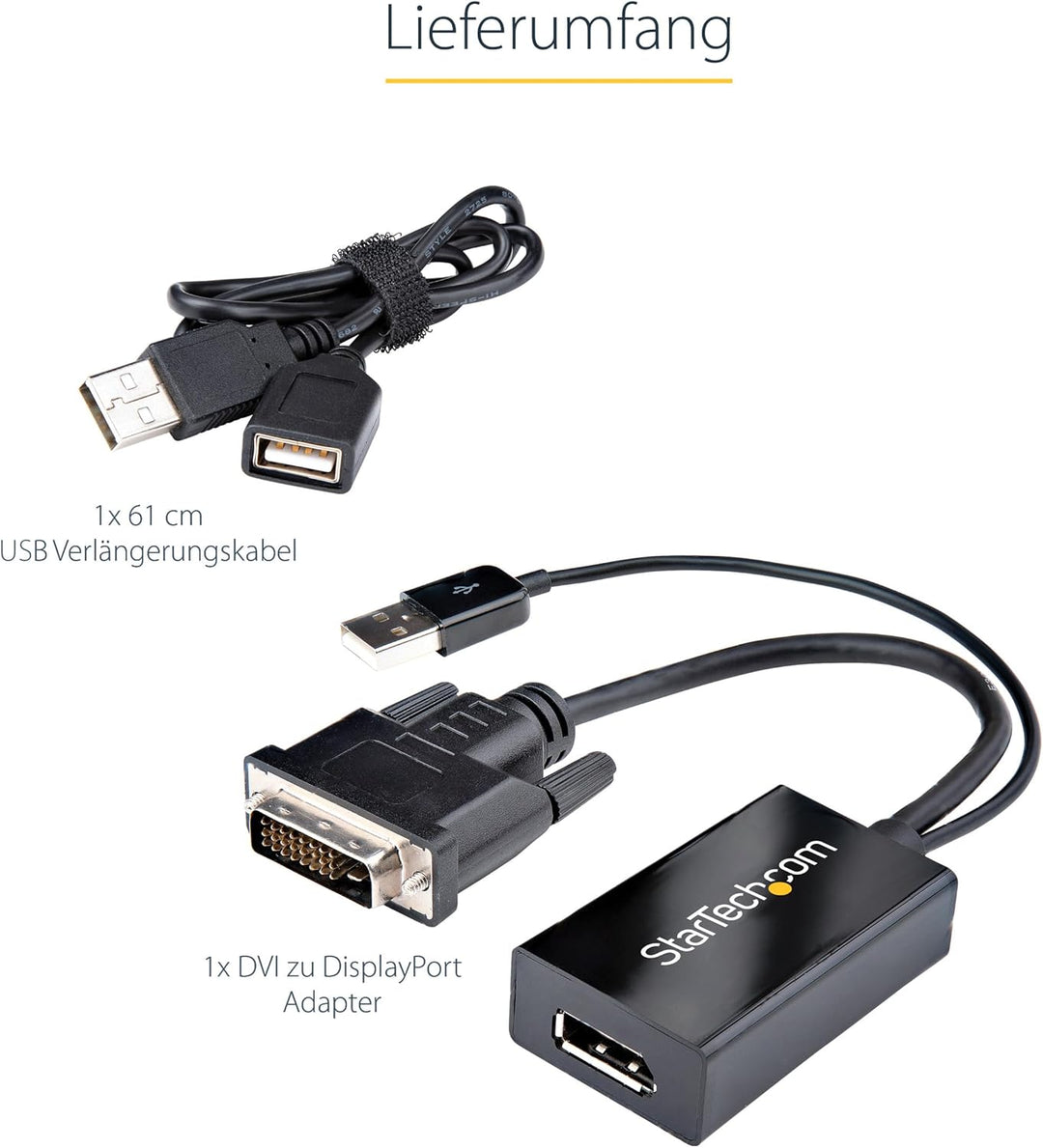 StarTech.com DVI auf DisplayPort Adapter mit USB Power - DVI-D zu DP Video Adapter - DVI zu DisplayP