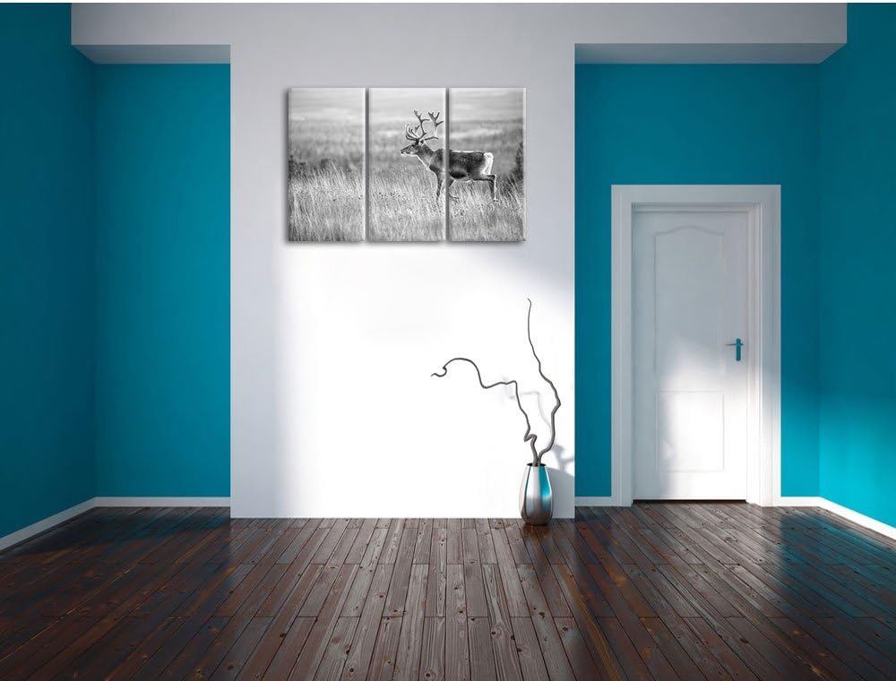 Pixxprint Rentier in Norwegen Kunst B&W als Leinwandbild/Grösse: 3 Teilig (120x80) / Wandbild/Kunstd