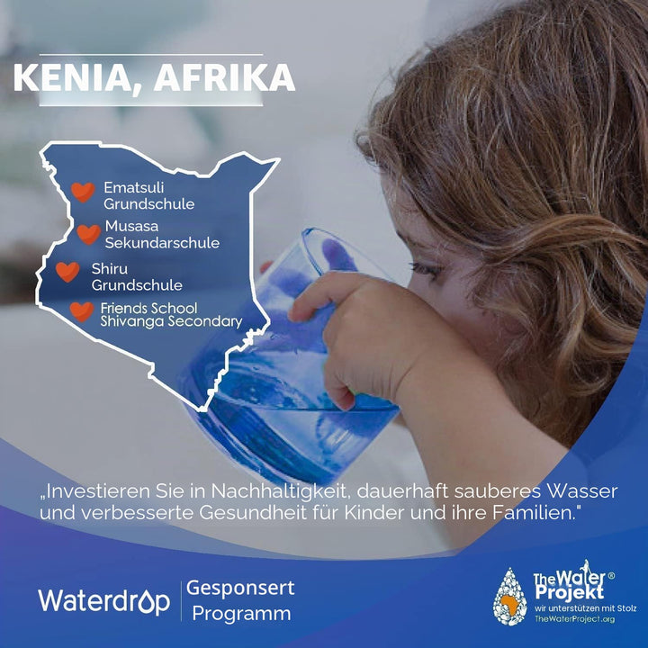 Waterdrop Wasserfilterspender für 18 Tassen, langlebig, mit 1 Filter, BPA-frei, Schwarz