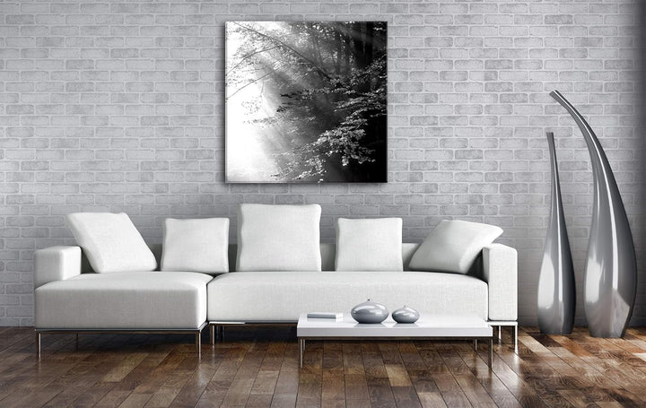 deyoli herbstlicher Wald mit Sonnenstrahlen im Format: 70x70 Effekt: Schwarz&Weiss als Leinwandbild,