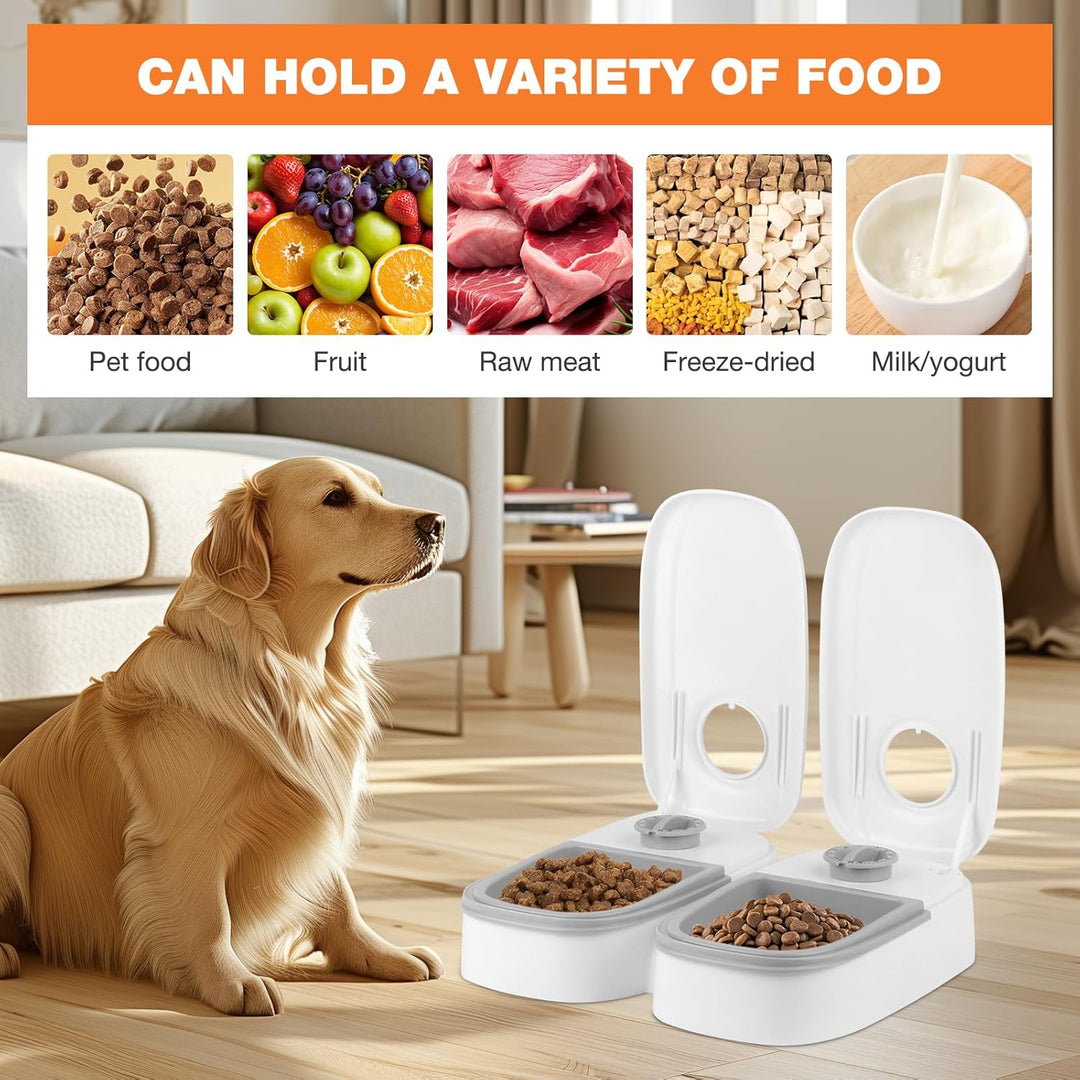 Futterautomat Katze, 700ML Automatischer Futterspender mit 48 Stunden Timer, rutschfeste Nassfuttera
