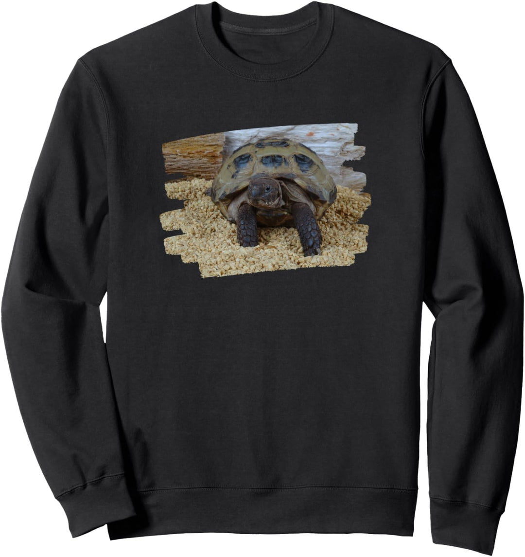 Russische Schildkröte Sweatshirt
