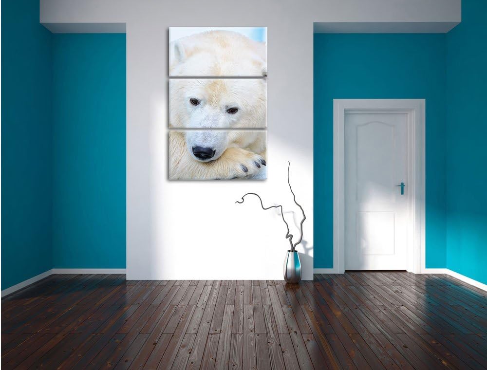 Pixxprint Nachdenklicher Eisbär 3-Teiler Leinwandbild 120x80 Bild auf Leinwand