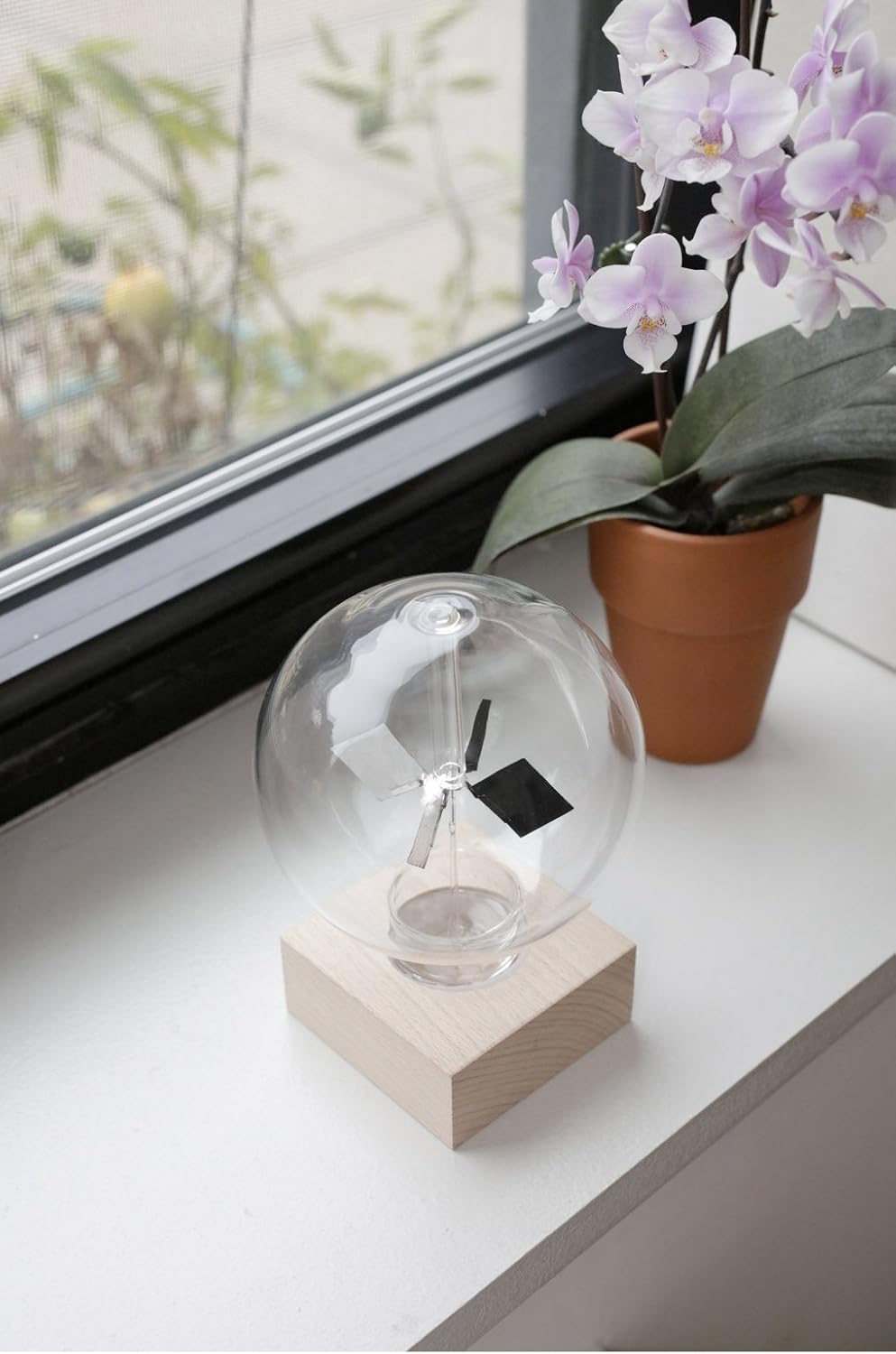 Kikkerland ST85 Deko, Holz, Glass, Transparent, 11.8 x 11.2 x 15.9 cm