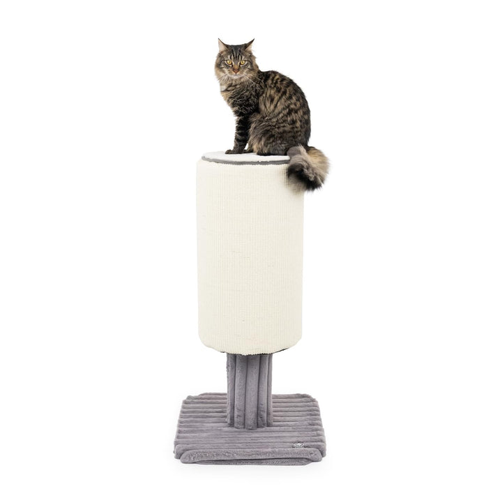 CanadianCat Company | Kratzstamm Jasper - grau | 48 x 48 x 96 cm | Kratzmöbel, Katzenmöbel, Kratzton