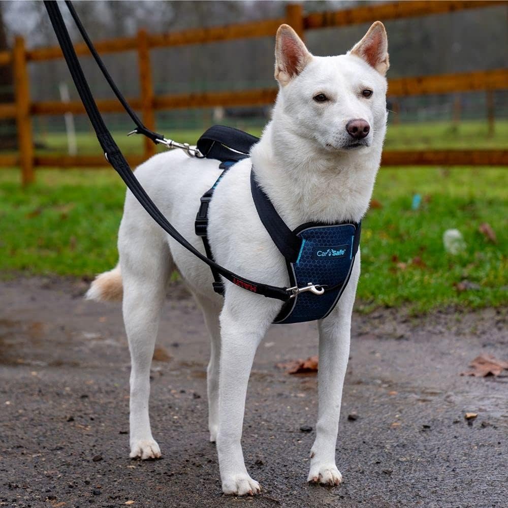 CarSafe Crash-getestetes Hunde Sicherheitsgeschirr, Crashtest-geprüft bis zu 32 kg / 70 lbs, sichert