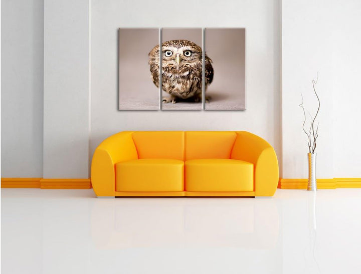 Pixxprint Niedliche Nachteule mit süssem Blick 3-Teiler Leinwandbild 120x80 Bild auf Leinwand