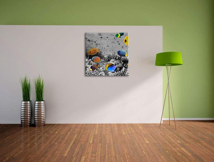 Pixxprint Fischvielfalt über Korallenriff schwarz/weiss, Format: 70x70 auf Leinwand, 70x70