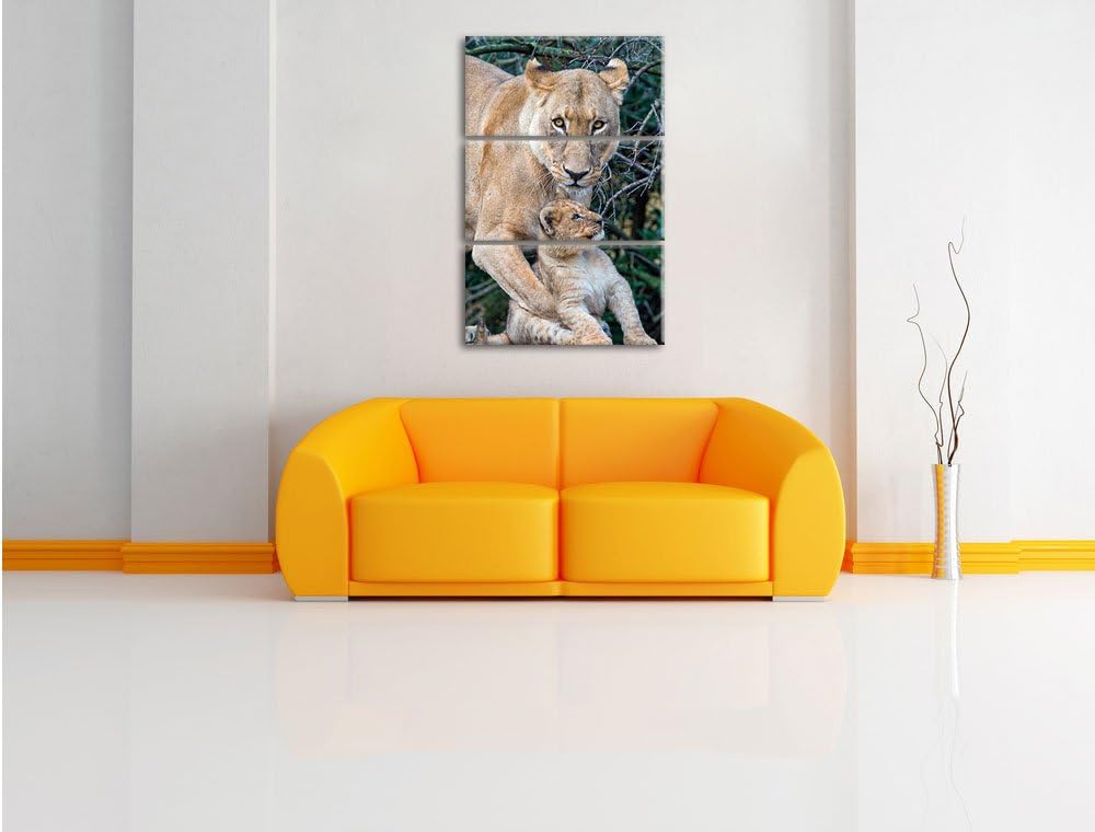 Pixxprint Löwin spielt mit Jungtier 3-Teiler Leinwandbild 120x80 Bild auf Leinwand