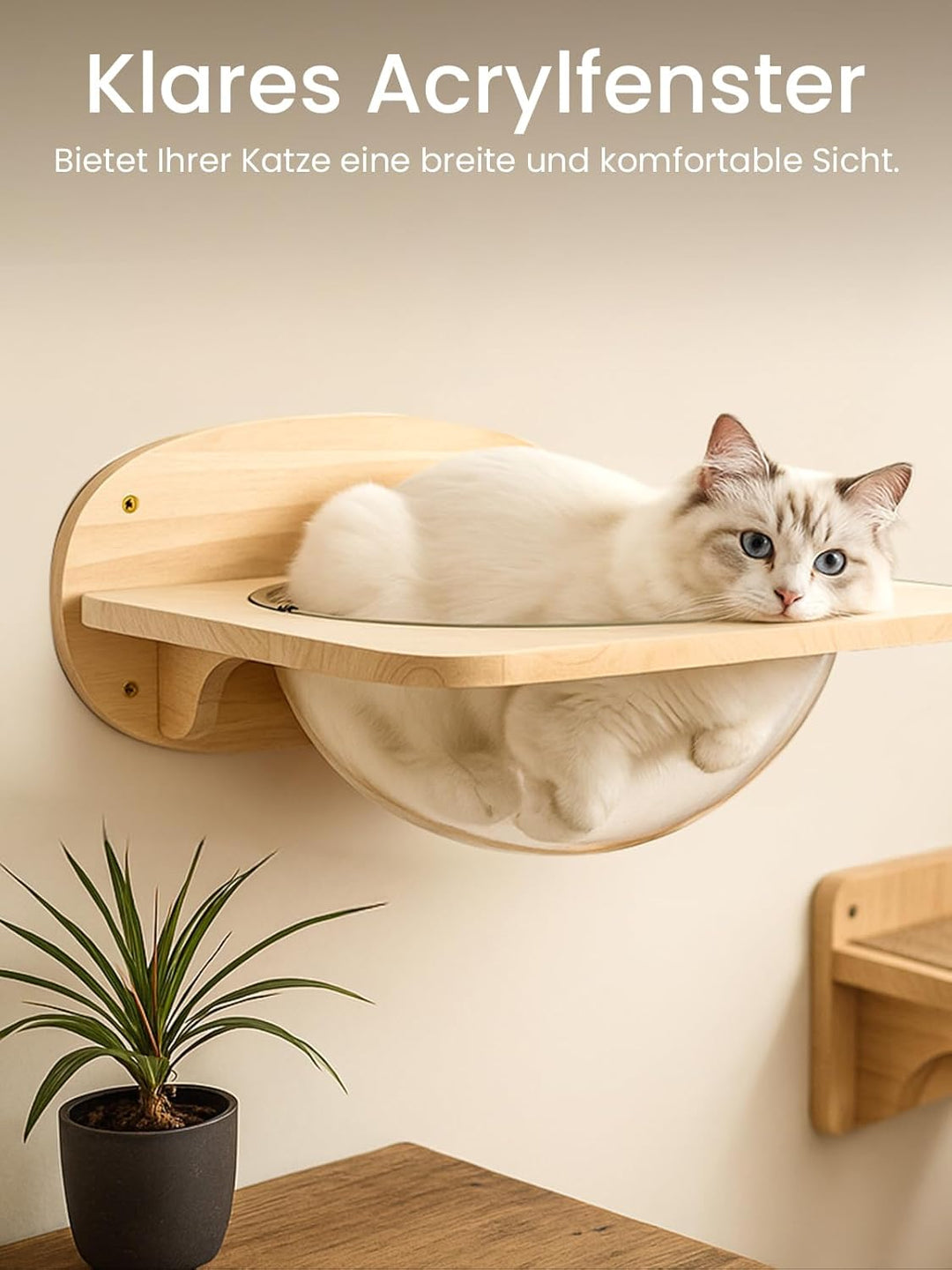 Cat Wall Climbing set Kletterwand Katzen katzenhöhle wand Katzenwandmöbel Set, aus Massives Gummihol