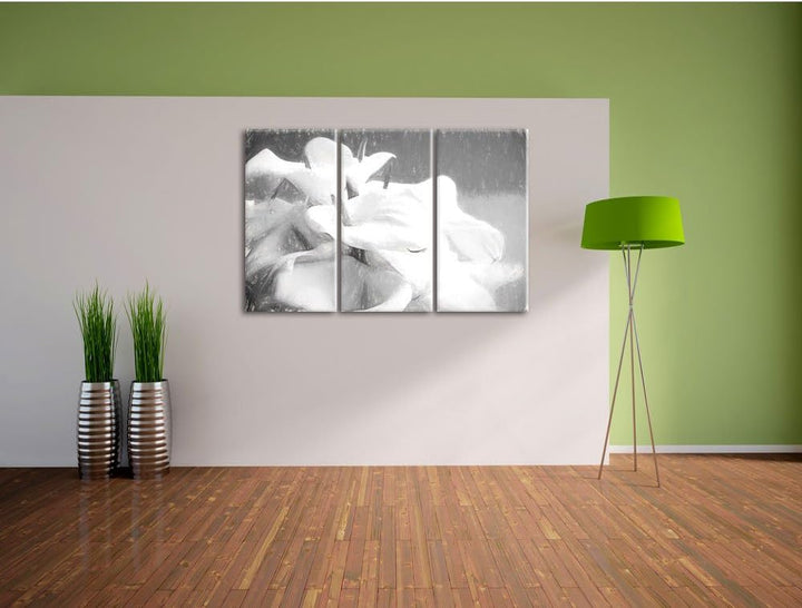 Pixxprint Calla Lilien / 3-Teilig/Gesamtmass 120cm Leinwandbild bespannt auf Holzrahmen/Wandbild Kun