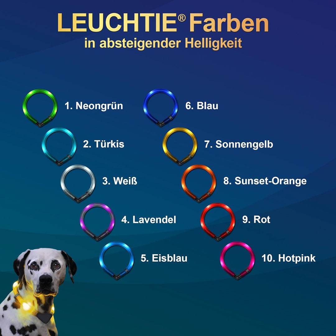 LEUCHTIE® Leuchthalsband Mini blau Grösse 32,5 I LED Halsband extra für kleine Hunde I wasserdicht I