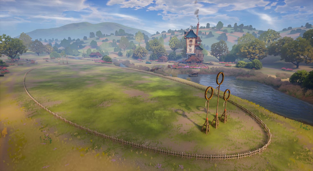 Harry Potter: Quidditch Champions Deluxe Edition (Switch) (Code in a Box) Nintendo Switch Deluxe Edi