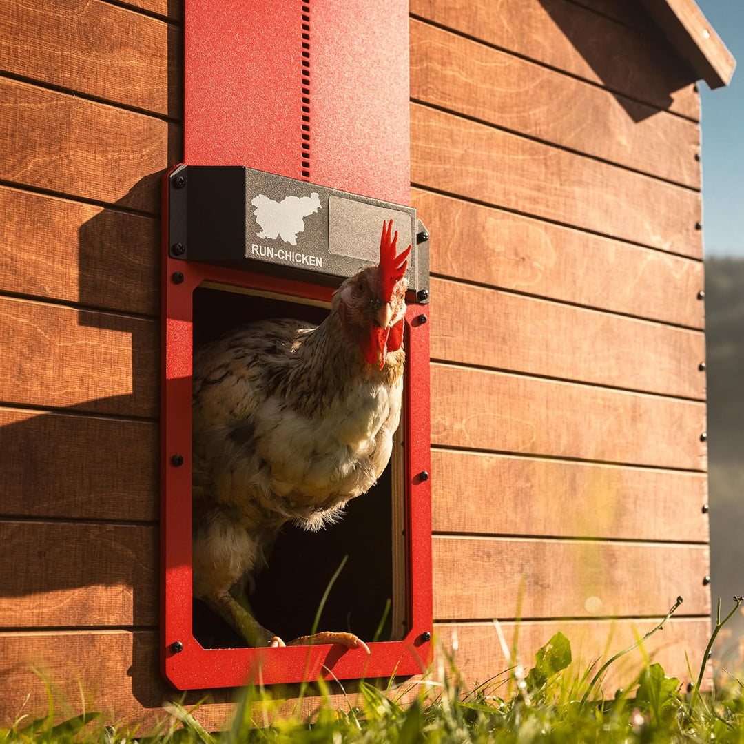 Run-Chicken Tür (rot) Solar Hühnerstall Tür, batteriebetriebene automatische Hühnerstalltür, program