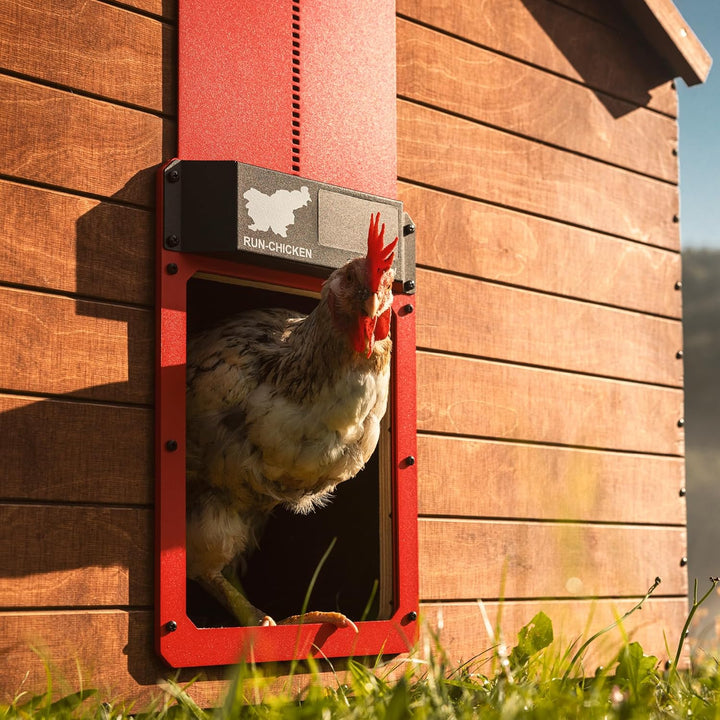 Run-Chicken Tür (rot) Solar Hühnerstall Tür, batteriebetriebene automatische Hühnerstalltür, program