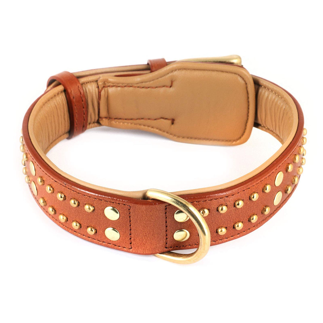 Monkimau Halsband für Hunde aus echt Leder mit Nieten gepolstert verstellbar L 41-50 cm M-L: 35mm x
