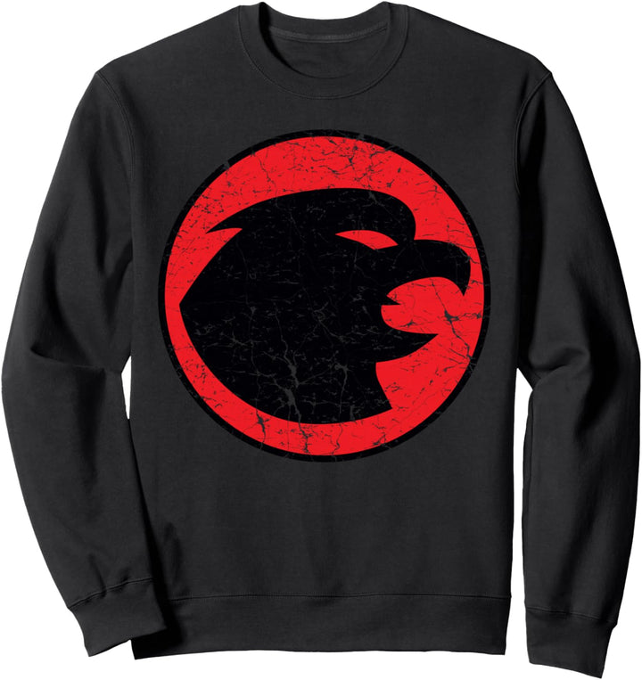 DC Hawkman-Logo im Used-Look Sweatshirt