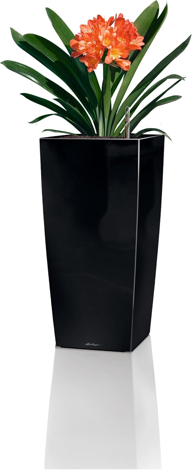 LECHUZA CUBICO Premium 22 schwarz hochglanz 18469 22x22x41 cm Schwarz Hochglanz, 22x22x41 cm Schwarz